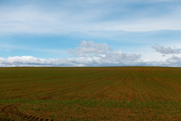 Fototapeta na wymiar Desert field in the province of Zaragoza
