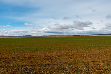 Fototapeta na wymiar Desert field in the province of Zaragoza