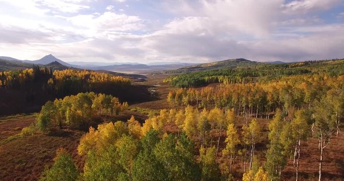 EPIC fly down aspen tree grove, Aerial, 4K Aspen Trees, Foliage, Mountains, Beautiful Colors, Changing leaves, Colorado, Aerial, - Drone Discoveries llc.