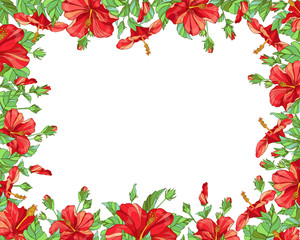 Vector horizontal rectangular  frame with red hibiscus flowers on white background. Floral design for cosmetics, perfume, beauty care products. Can be used as greeting card, invitation card 