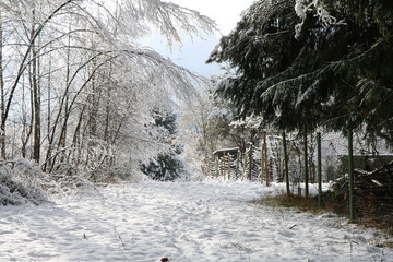 Kalter Weihnachtsmorgen