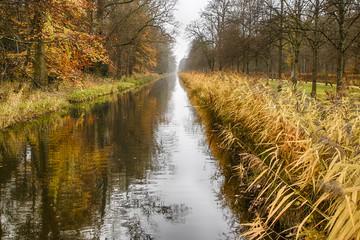 Water channel through forest in autumn