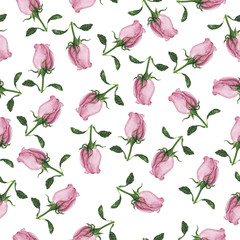 Seamless pattern with pink rose flowers on white background. Hand drawn watercolor illustration. - 198511712