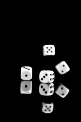 dice game