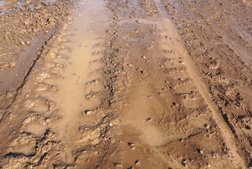 Rural dirty road at early spring