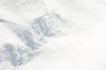 Fototapeta na wymiar Fresh snow background texture. Winter background with snowflakes and snow mounds. Snow lumps