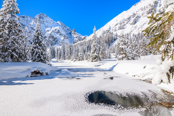 Fototapeta na wymiar Winter landscape in valley near Morskie Oko lake, Tatra Mountains, Poland