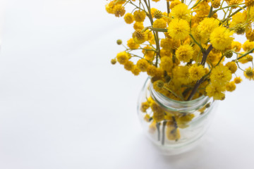 Bouquet of yellow fluffy flowers Mimosa in a small glass vase. Spring mood. Springtime.