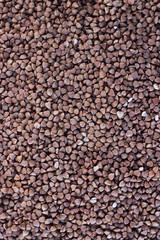 Buckwheat cereal on gray background. Food background.