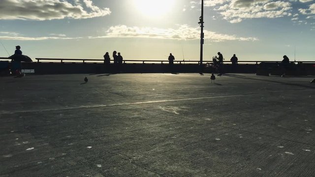 Silhouettes of people fishing on a pier during sunset