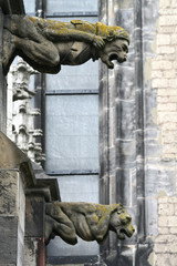 Gargoyle of the  St. Martin's Cathedral, Utrecht, or Dom Church