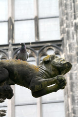 Gargoyle of the  St. Martin's Cathedral, Utrecht, or Dom Church