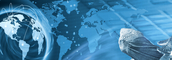 turtle head on abstract background