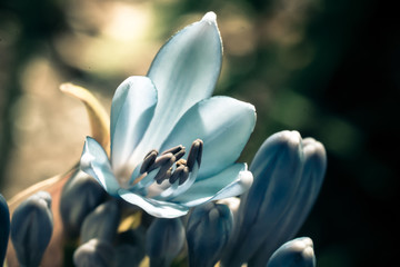 morbidezza © andreacosti