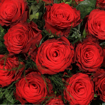 Bunch of red Roses