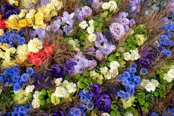 Colorful summer flowers background. Top view