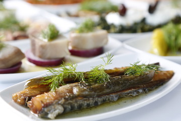starter