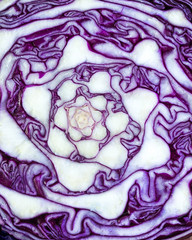 Obraz premium The Purple cabbages stacked at a farmers' market