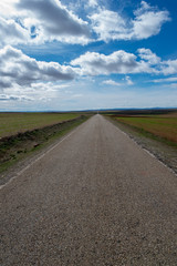 Road through the countryside of the province of Zaragoza.