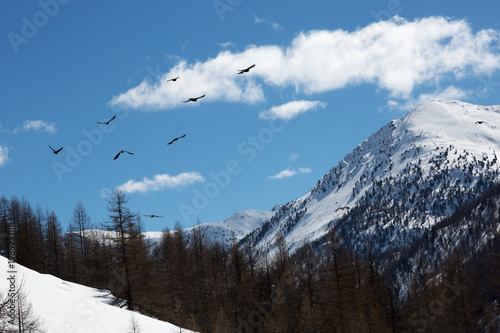 Montagnes Et Chalets Sous La Neige Nevache Hautes Alpes