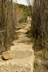 The Way Through