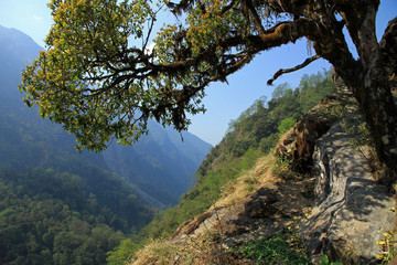  Annapurna Conservation Area, Himalayas, Nepal