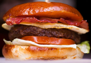 Fast food with traditional tasty hamburger