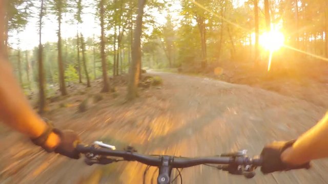Sunset mountain bike riding in green woods on double track long road. Forest extreme speed cycling, first person perspective view POV. Gimbal stabilized video GOPRO HERO4 4K.