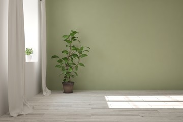 Green empty room. Scandinavian interior design. 3D illustration
