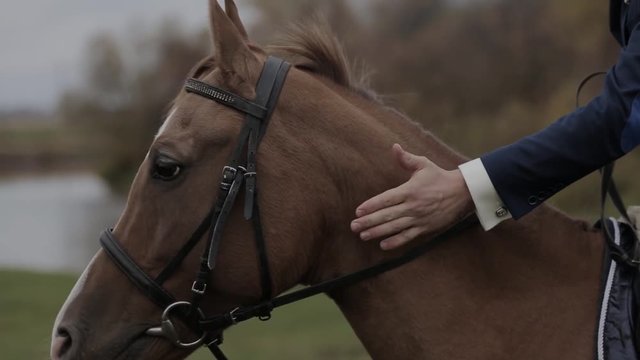 A man sits on a horse and strokes her hand