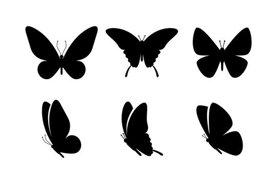 Black butterflies collection. Silhouettes, isolated on white background. Vector illustration.