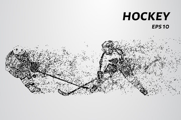 Fototapeta premium Hockey from the particles. Hockey consists of circles and points. Vector illustration.
