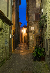 Fototapeta na wymiar Bracciano (Italy) - The medieval historic center of the town in province of Rome famous for his castle and the lake. Here in the blue hour.