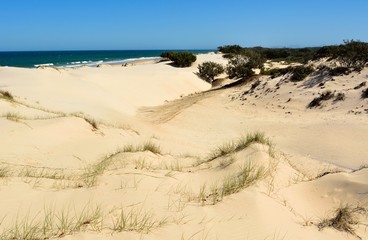 Sand dunes and Surf beach on South Stradbroke Island in Queensla