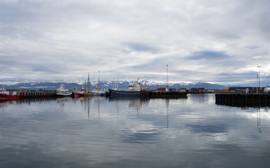 Fototapeta na wymiar Schiffe im Hafen von Húsavík / Island - Whalewatching
