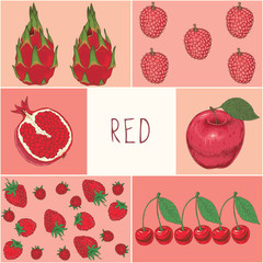 Education Game. Red Fruits
