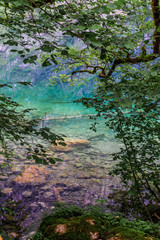 Great summer panorama of the Obersee lake. Green morning scene of Swiss Alps, Nafels village location, Switzerland, Europe. Beauty of nature concept background.