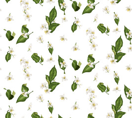 Citrus branches seamless pattern with flowers and leaves. Flowers of orange, lime, lemon and others