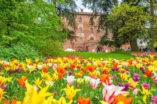 25 April 2013. Castle of Pralormo, garden tulips in Turin, Piedmont, Italy