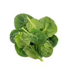 Fresh Spinach Leaves