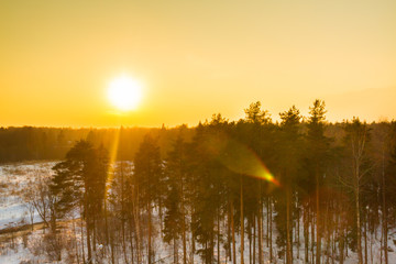 Fototapeta na wymiar Bright beautiful sunset over the winter forest in early spring