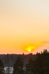 Bright beautiful sunset over the winter forest in early spring