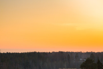 Obraz premium Bright beautiful sunset over the winter forest in early spring