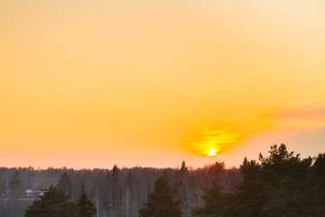 Bright beautiful sunset over the winter forest in early spring
