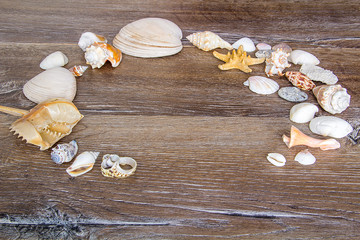 Summer sea background - sea shells, on a wooden background