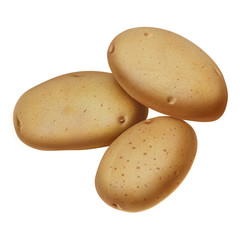 Potatoes illustration
