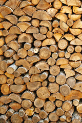Preparation of firewood for the winter.