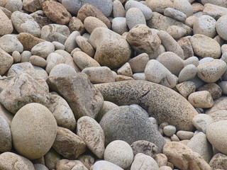 Galets sur la plage en Bretagne 