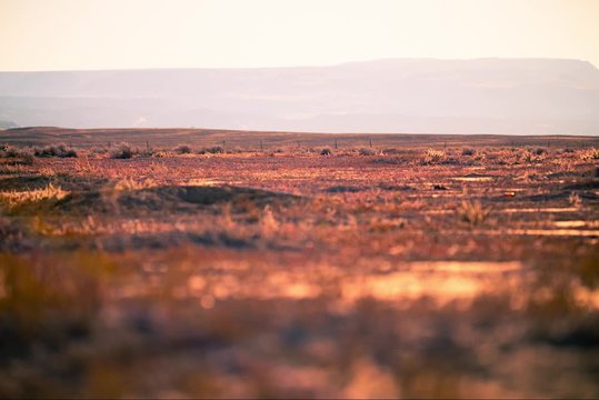 Desert Solitude Timelapse