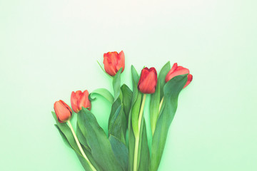 Sensual flowers of fresh red tulips on light green background top view copy space. Beautiful spring background for International Womens day, Mother's day, March 8, Valentines day